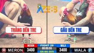 Trận 28 CPC3 26/2/2025 - Xanh Đá Bến Thế Quay Lại Táng Cây Đỏ La Làng