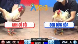 Trận 31 CPC2 28/2/2025 - Lật Kèo Ăn 2 Của Anh Sơn Trước Anh Củ Tỏi