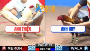 Trận 34 CPC2 28/2/2025 - Bướm Râu Anh Thiện Ngậm Máu Giết Đối Thủ