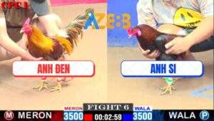 Trận 6 CPC1 8/2/2025 - Khét Cọp Của Anh Tính GaKing Đâm Cựa Quá Nghiệt