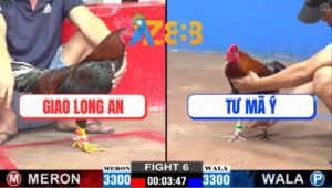 Trận 6 CPC2 28/2/2025 - Gà Vàng Anh Tư Mã Ý Về Trong May Mắn