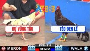 Trận 8 CPC2 21/2/2025 - Que Ăn Cái Thứ 7, Đá Bướm Không Kịp Thở