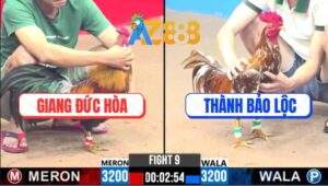 Trận 9 CPC3 15/2/2025 - Phản Kèo Ăn 1, Khét Bông Đưa Biện Đi Xa