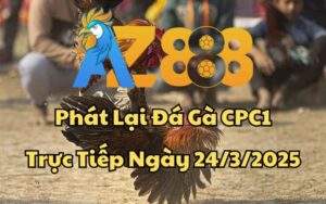Phát Lại Đá Gà CPC1 Trực Tiếp Ngày 24/03/2025