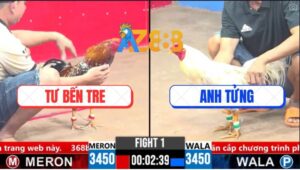 Trận 1 CPC3 13/3/2025 - Điều Bông Anh Tư Đâm Như Sát Thủ Máu Lạnh