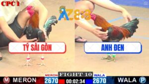 Trận 10 CPC1 1/3/2025 - Mẻ Xanh Hiệu Anh Tính GaKing Đá Không Rớt Chân