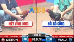 Trận 10 CPC3 27/3/2025 - Giáp Cupan Anh Hải Gò Công Đem Ra Chỉ Có Cúng