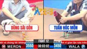 Trận 12 CPC3 16/3/2025 - Gà Anh Dũng Đá 3 Số Tới Hạ Anh Tuấn Lụm 2000$