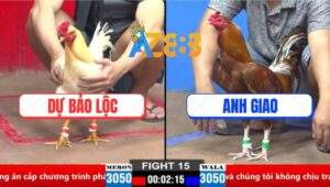 Trận 15 CPC2 30/3/2025 - Gà Úa Anh Dự Găm Cây Nào Khét Tới Tang Cây Đó