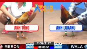 Trận 17 CPC3 12/3/2025 - Gà Cú Anh Tùng Tiễn Gà Anh Lukaku Nhập Thổ