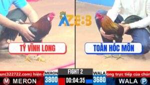 Trận 2 CPC3 26/3/2025 - Xanh Que Anh Toàn Đá 2 Chân Kết Liễu Gà Anh Tý