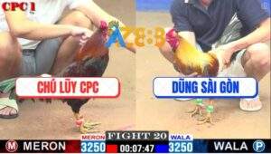 Trận 20 CPC1 22/3/2025 - Xám Mặt Râu Hạ Đẹp Mẻ Xanh Hiệu Tính Ga King