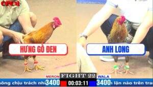 Trận 22 CPC1 17/3/2025 - Anh Hưng Gò Đen Tiếp Tục Hạ Anh Long 4G