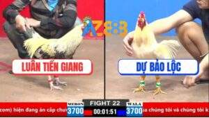 Trận 22 CPC2 30/3/2025 - Anh Dự Bảo Lộc Rớt Nài Trước Luân Tiền Giang