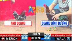 Trận 24 CPC3 17/3/2025 - Điều Cọp Anh Quang Đâm Đối Thủ Quên Lối Về