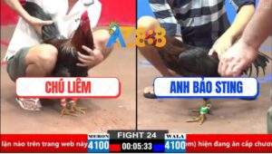 Trận 24 CPC2 30/3/2025 - Gà Que Anh Bảo Sting Đá Bo Như Cây Đập