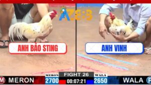 Trận 26 CPC3 12/3/2025 - Anh Bảo Sting Đúng Xui, Ăn Anh Vinh Không Nổi