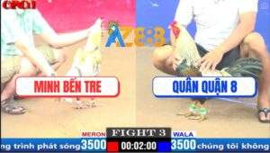 Trận 3 CPC1 27/3/2025 - Gà Má Minh Gục Cũng Có Chân Phản Cứu Chủ