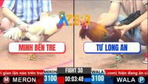 Trận 30 CPC3 17/3/2025 - Điều Chân Xanh Đá Gà Bướm Má Minh Lật Xe