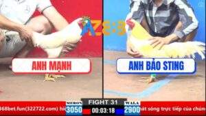 Trận 31 CPC1 21/3/2025 - Dây Dưa Với Anh Bảo Sting Thì Xác Định