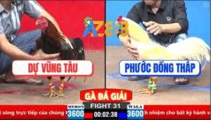 Trận 31 CPC2 30/3/2025 - Anh Phước Đồng Tháp Hạ Gốc Bự C1 Dự Bảo Lộc