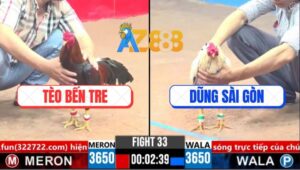 Trận 33 CPC3 16/3/2025 - Gà Anh Dũng Sài Gòn Đá Tăng 1 Có Kem