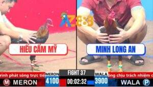 Trận 37 CPC3 19/3/2025 - Gà Má Minh Quá Trâu Gà Anh Hiếu Vô Không Thấm