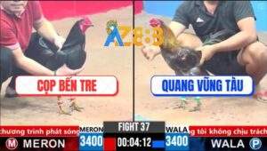 Trận 37 CPC3 21/3/2025 - Nhất Xám Khô Nhì Ô Ướt Va Nhau Cực Căng