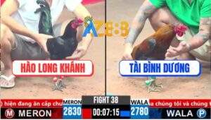 Trận 38 CPC3 17/3/2025 - Gà Anh Hào Đá Bát 1 Đưa Đối Thủ Về Bình Dương