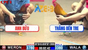 Trận 39 CPC1 1/3/2025 - Anh Thắng Chấp Ngông, Bị Đá Không Có Cửa Ra