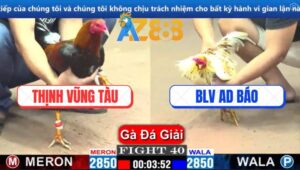 Trận 40 CPC1 6/3/2025 - Điều Anh Thịnh Bẻ Cổ Gà Camelo Của BLV AD Báo