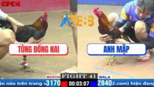 Trận 41 CPC1 17/3/2025 - Gà Anh Mập Kém 3 Chấm Đá Chân 1 Đủ Điểm