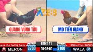 Trận 41 CPC3 26/3/2025 - Gà Khét Anh Mo Kém 6 Chấm Đá Bát 1 Bự Gãy Giò