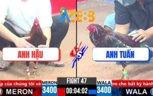 Trận 47 CPC3 24/3/2025 - Điều Mật Anh Hâu Nạp 1 Cựa Bẻ Chân Đối Thủ