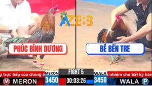 Trận 5 CPC3 16/3/2025 - Điều Cọp Chú Phúc Đá Gà Anh Bé La Làng