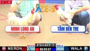 Trận 7 CPC1 1/3/2025 - Má Minh Hạ Anh Tâm Bến Tre Đầy Khó Khăn