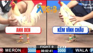 Trận 9 CPC2 2/3/2025 - Anh Tính Gaking Hạ Đẹp Anh Kẽm Vĩnh Châu