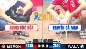 Trận 10 CPC3 15/4/2025 - Anh Giang Đức Hòa Lụm Cái Xổ 500 Nhẹ Nhàng