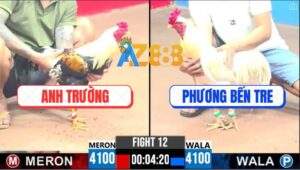 Trận 12 CPC3 11/4/2025 - Gà Chuối Anh Trường Đá Như Máy Điện