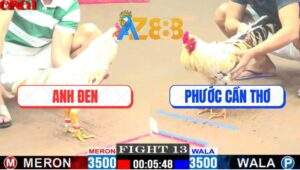 Trận 13 CPC1 12/4/2025 - Gà Anh Tính Ga King Hạ Đẹp Bổn Bướm Hiệu Idol