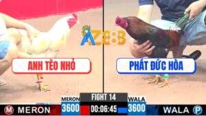 Trận 14 CPC3 11/4/2025 - Anh Tèo Nhỏ Đụng Anh Phát Đức Hòa