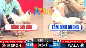 Trận 15 CPC3 1/4/2025 - Anh Tèo Bảo Lộc Thả Gà 1 Cước Có Kết Quả