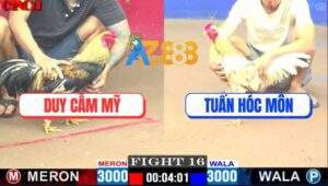 Trận 16 CPC1 19/4/2025 - Gà Chuối Anh Duy Chặn Chân 1 Gà Bướm Gãy Giò