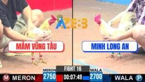 Trận 16 CPC3 30/4/2025 - Úa Má Mính 3 Đá Hạ Bướm Vũng Tàu Lụm 1000$