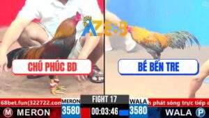 Trận 17 CPC3 1/4/2025 - Chú Phúc Quá Hừng Hạ Luôn Anh Bé Bến Tre