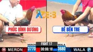 Trận 17 CPC3 22/4/2025 - Que Cọp Chú Phúc Tiễn Khét Anh Bé Lên Đường