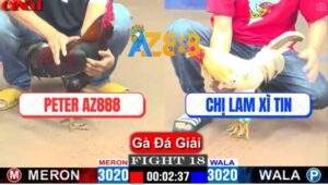 Trận 18 CPC1 10/4/2025 - Gà Điều Peter Xóm Gà AZ Đá 3 Chân Hạ Bướm Chị Lam