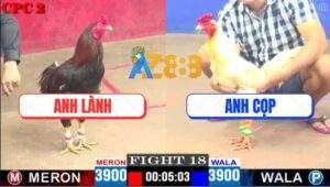 Trận 18 CPC2 16/4/2025 - Điều Cánh Gián Đuôi Lao Đá Úa Anh Cọp Lật Xe