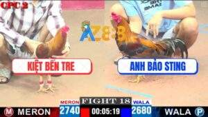 Trận 18 CPC2 27/4/2025 - Anh Kiệt và Anh Bảo Sting Tái Đấu Nảy Lửa