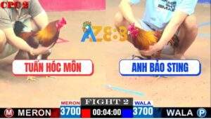 Trận 2 CPC2 27/4/2025 - Gà Khét Anh Bảo Sting Chịu Đòn Phản Kèo Ăn 1
